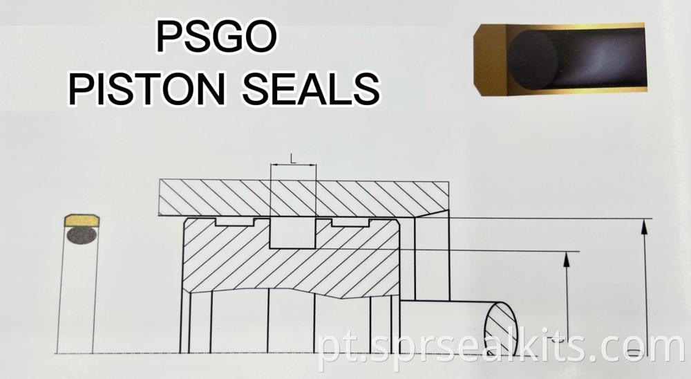 Special Seal For Piston Seal 07